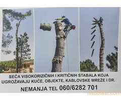 Seča Visokorizičnih stabala