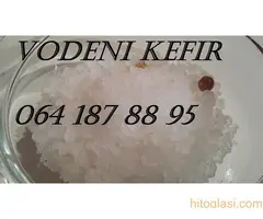 KEFIRNA ZRNCA VODENI KEFIR JAPANSKI KRISTALI